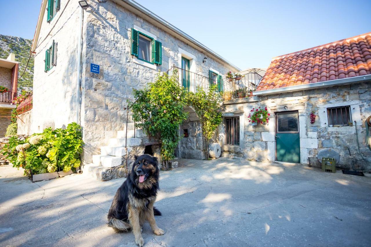 Apartmani Rebac Gata Buitenkant foto